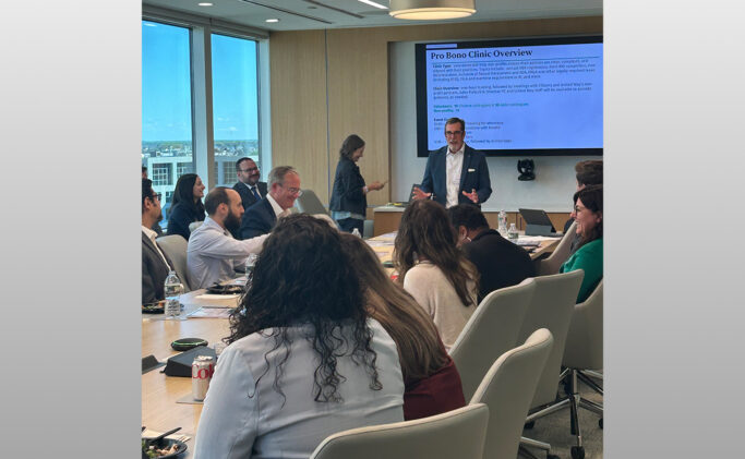 Pro Bono Client Overview