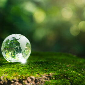 Earth Day